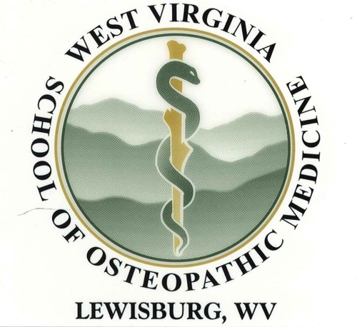 Logo Decal