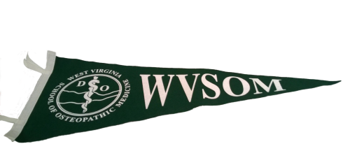 WVSOM Wool Felt Pennant