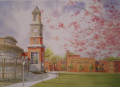 Brenneman WVSOM Alumni Tower Watercolor