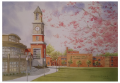 Jeanne Brenneman Alumni Tower Notecards